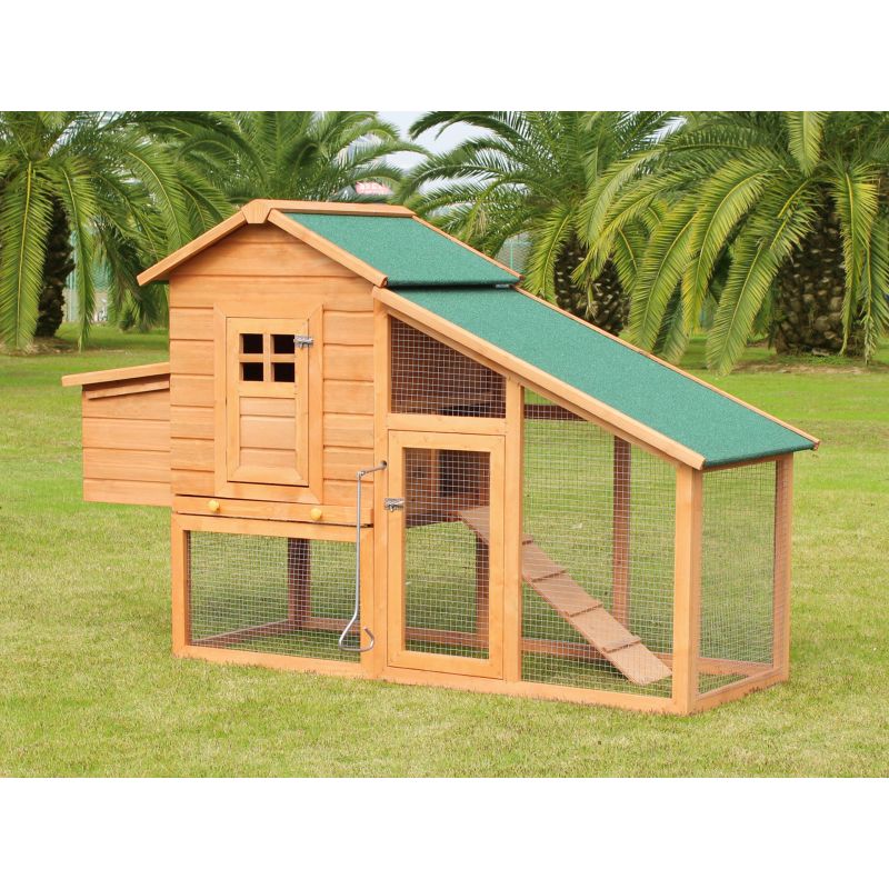 Bingo Chicken Coop Hen House with Nesting Box