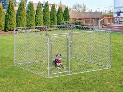 Dog Kennel NZ | Dog Runs | Dog Kennels For Sale - at TreasureBox NZ