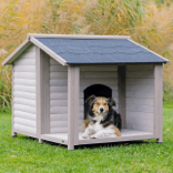 Pet Supplies NZ | Pet Accessories | Pet Cages NZ - TreasureBox NZ