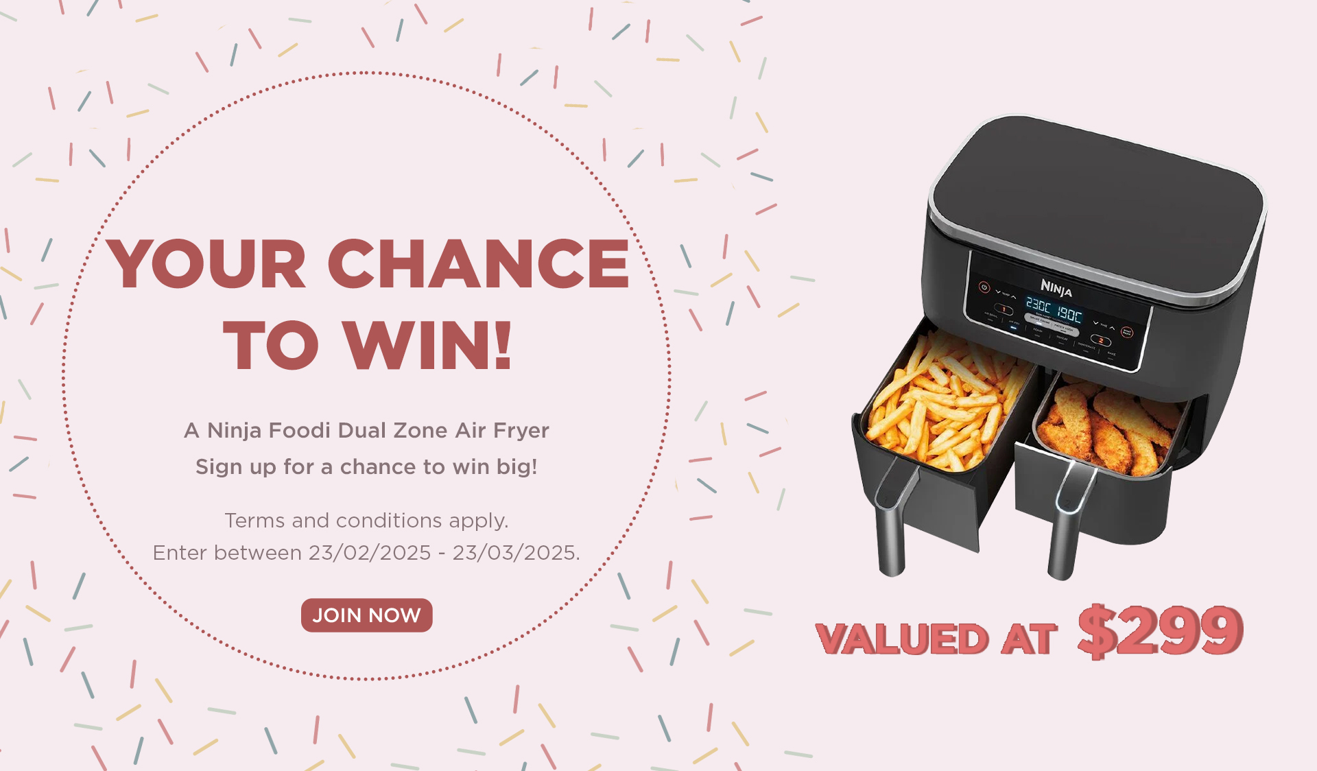 Win Foodi Dual Zone Air Fryer